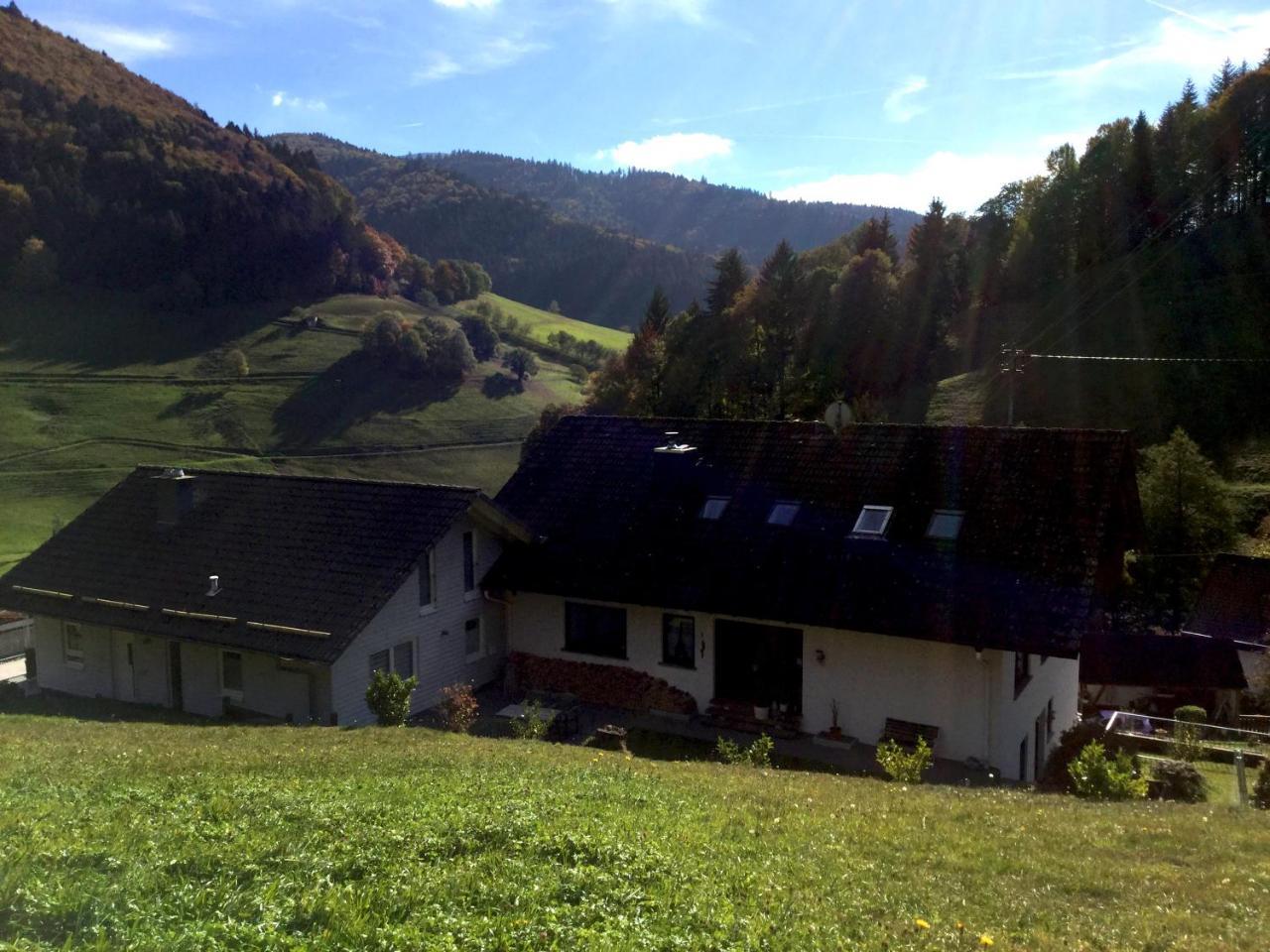 Erikas Haus Apartment Muenstertal Exterior photo