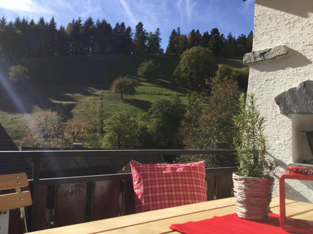 Erikas Haus Apartment Muenstertal Exterior photo