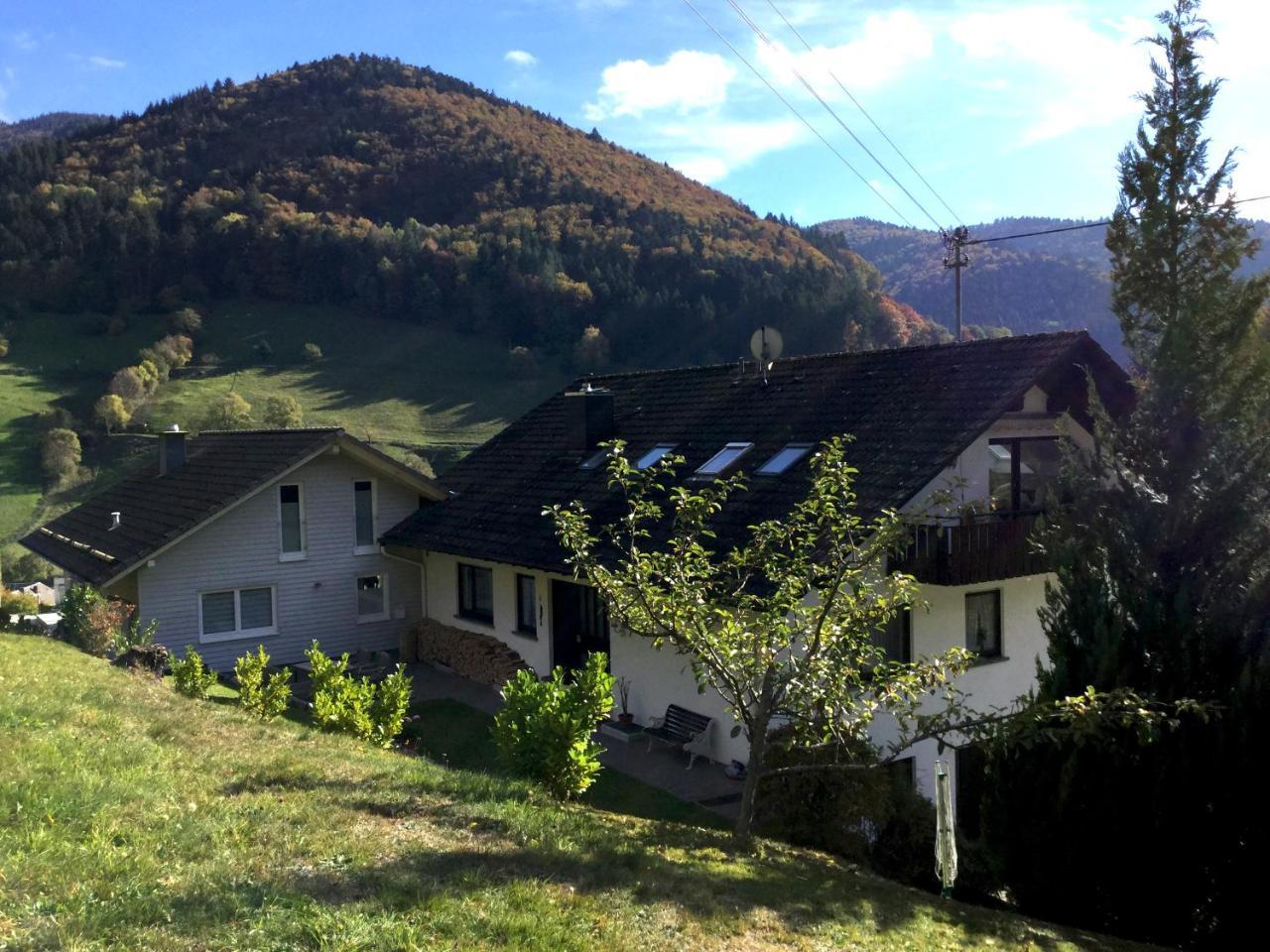 Erikas Haus Apartment Muenstertal Exterior photo
